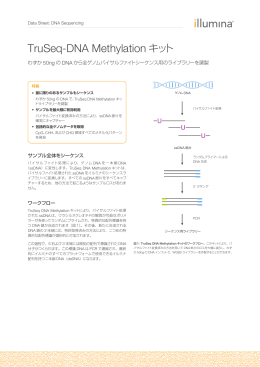 TruSeq-DNA Methylation キット
