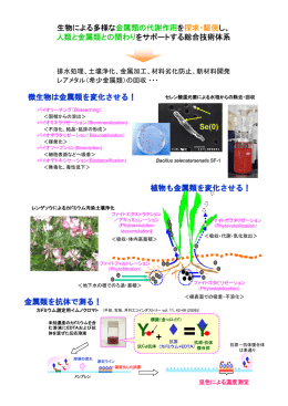 研究紹介図