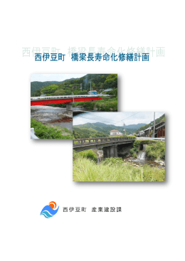 西伊豆町橋梁長寿命化修繕計画