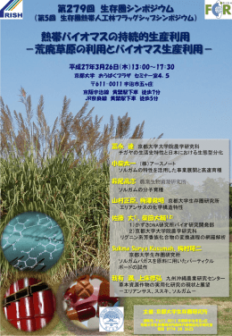 熱帯バイオマスの持続的生産利用 －荒廃草原の利用とバイオマス生産