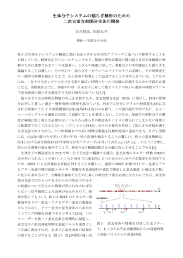 生体分子システムの揺らぎ解析のための 二次元蛍光