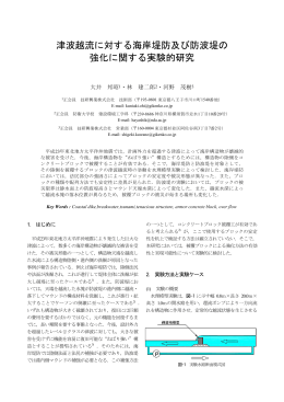 津波越流に対する海岸堤防及び防波堤の 強化