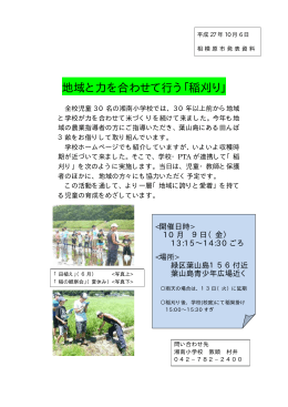 湘南小学校 地域と力を合わせて行う「稲刈り」について（PDF