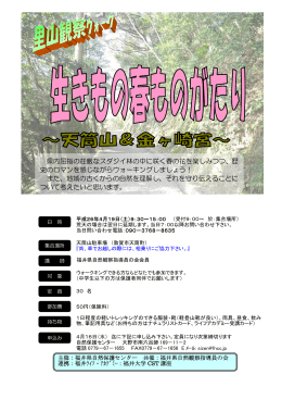 県内屈指の荘厳なスダジイ林の中に咲く春の花を楽しみつつ、歴 史の