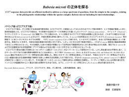 Babesia microti の正体を探る