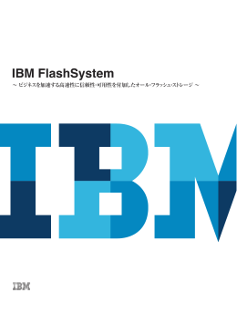 IBM FlashSystem