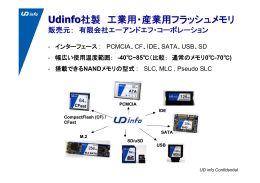 Udinfo社製 工業用・産業用フラッシュメモリ