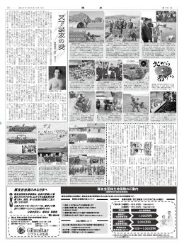 天 下 無 双 の 愛