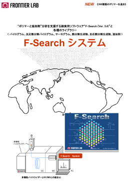 F-Search システム