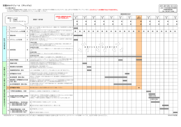 受審のスケジュール 《サンプル》 - 公益財団法人日本医療機能評価機構