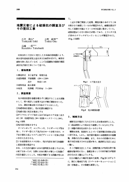 地震災害による破損杭の調査及び