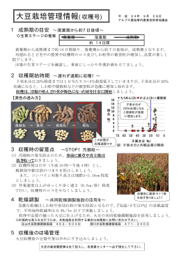 大豆栽培管理情報(収穫号)