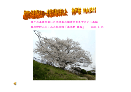 神戸の基礎を築いた平清盛の福原京を見下ろす一本桜 奥平野貯水池