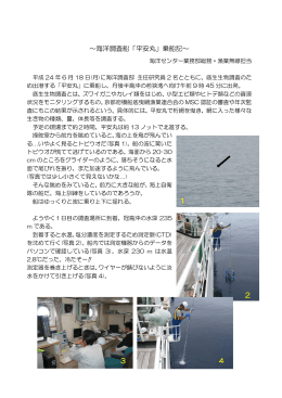 平安丸乗船記（PDF：783KB）