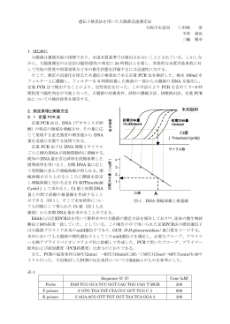 未知試料 Ct値