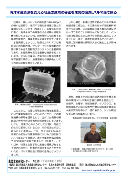 海洋  産資源を  える珪藻の成功の秘密を未知の