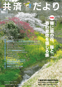 に 菜 の 花 、 桜 と 、 春 の 息 吹 を 感 じ る 旅