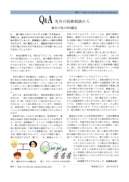 植木の枝のDNA鑑定