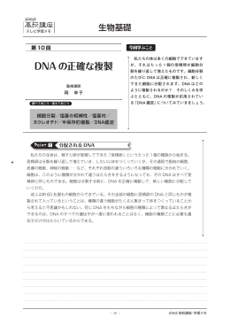 DNA の正確な複製