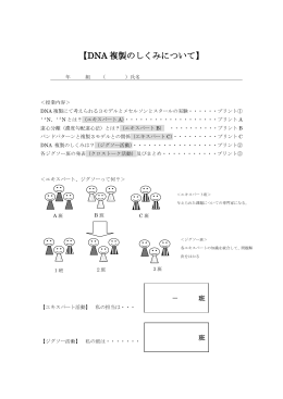 【DNA 複製のしくみについて】
