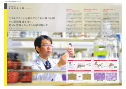 パンフレット分野PDF - 熊本大学発生医学研究所