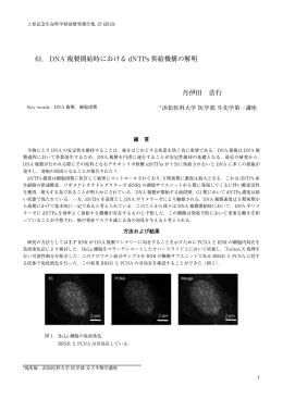 DNA複製開始時におけるdNTPs供給機構の解明