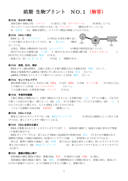 平成27年度 前期 生物プリント NO．1(解答)