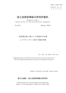 全 文 - 国土技術政策総合研究所