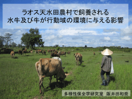 ラオス天水田農村で飼養される水牛及び牛が 行動域の環境に与える影響