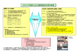 ミナミ・キタ地区における歓楽街総合対策の推進