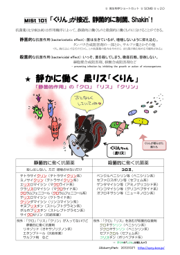静かに働く 黒リス「くりん」