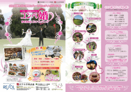 コンペ婚・オプション料金一例≫ ≪コンペ婚・オプション料金一例