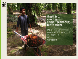 持続可能なパーム油:RSPO、世界的な流れとその将来