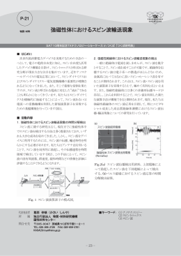 強磁性体におけるスピン波輸送現象