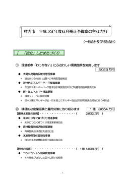 平成23年度 6月補正予算の主な内容（PDFファイル439