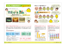 どうして借金するの？（PDF：394KB）