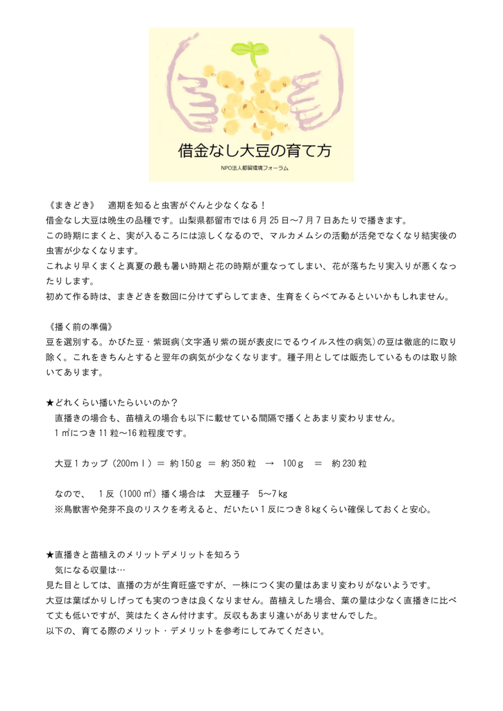 まきどき 適期を知ると虫害がぐんと少なくなる 借金なし大豆は晩生の品種です