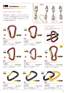 ツインゲートセーフティーシステム 危険例