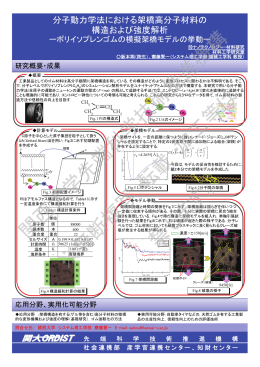 分子動力学法における架橋高分子材料の構造および強度解析