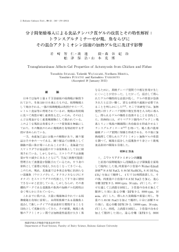 子間架橋導入による食品タンパク質ゲルの改質とその特性解析： トランス