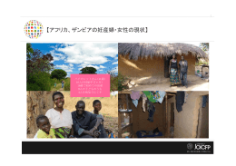 事業開始前の様子（写真）（PDF）