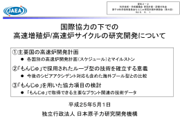 国際協力の下での 高速増殖炉/高速炉サイクルの研究開発について