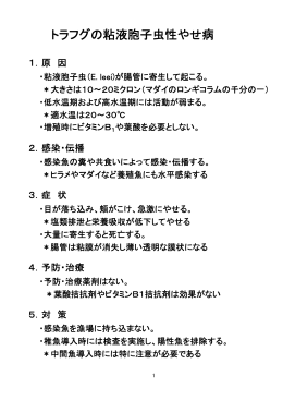 トラフグの粘液胞子虫性やせ病