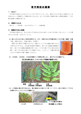 Taro-1. 3-17 寺や神社の植物.jtd