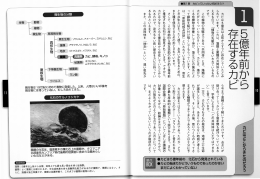 カビはどこからきたのだろう 縄