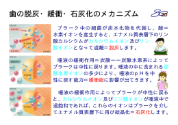 歯の脱灰・緩衝・石灰化のメカニズム 歯の脱灰・緩衝・石灰化のメカニズム