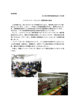 地域情報 (社)熊本県野菜振興協会八代支部 イチゴパッケージセンター