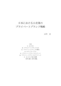 日本における小売業の プライベートブランド戦略