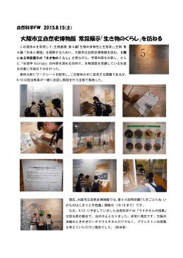 大阪市立自然史博物館 常設展示『生き物のくらし』を訪ねる