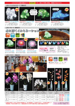 花と光の おもてなし 水に浮くイルミネーション